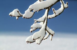 冬の結露と夏の暑さを解消する窓見直しのポイントは？
