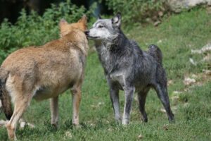 小予算で窓断熱を行う際の優先順位は？
