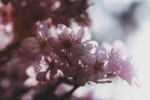 窓下のすきま風による寒さ対策はどのように行えば良い？