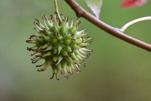樹脂窓とアルミの樹脂複合比較で知っておきたいポイントは？
