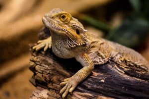 光熱費半減は本当なのか、実際の節約方法を解説しますか？