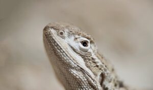窓の断熱リフォームにはどのような効果がある？