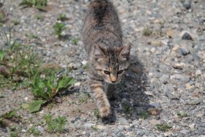 窓リフォームの効果を感じない理由とは？