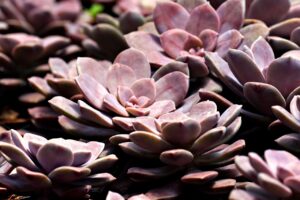 住宅の断熱効果を高める窓のDIY方法は？