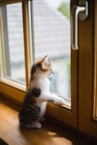 窓の断熱DIYで光熱費をどれくらい節約できる？